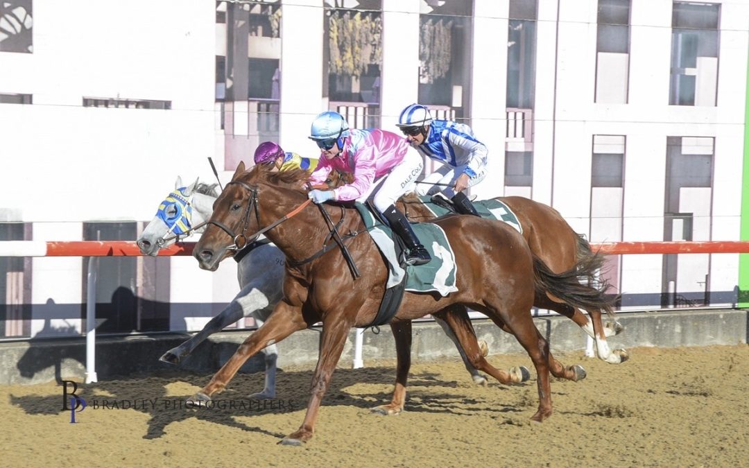 Un-named (Bull Point – Starsplash)