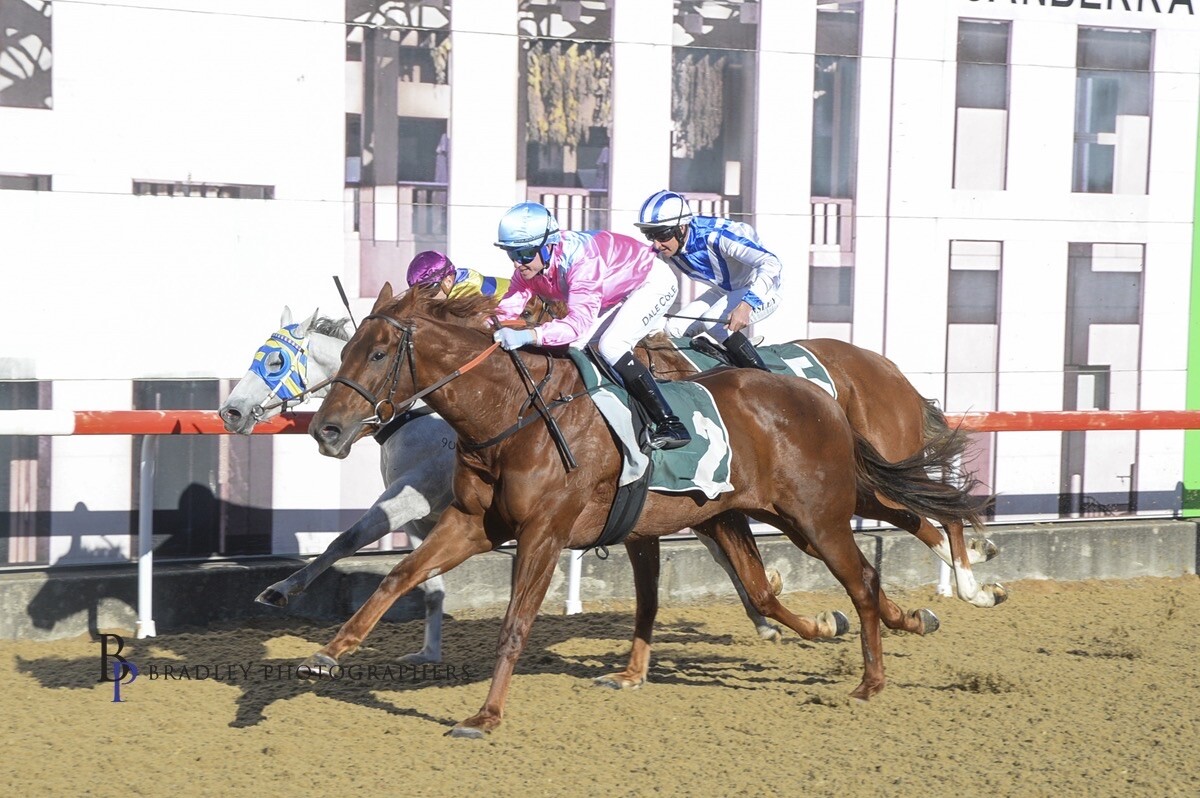 Un-named (Bull Point – Starsplash)