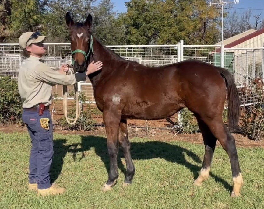 Un-named (Prized Icon – Go Go Chanel) 24